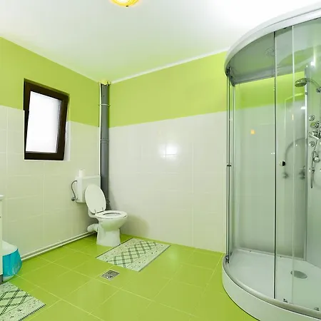 בית הארחה Casa Daria Haţeg