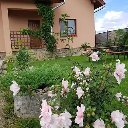 Casa Daria *
