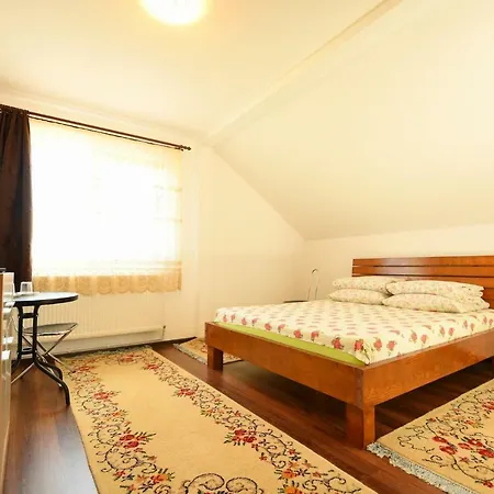 בית הארחה Casa Daria Haţeg